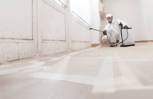 24/7 Emergency Mold Removal experts in Voorhees, NJ